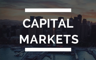 Investing in the Capital Markets CME