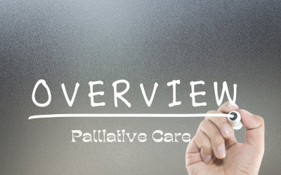Overview of Palliative Care in Kenya, Models, and Policy Frameworks CME